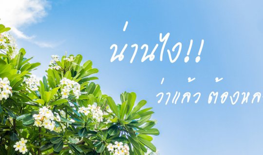 cover "Nan," I thought. "I knew I would fall in love with it."