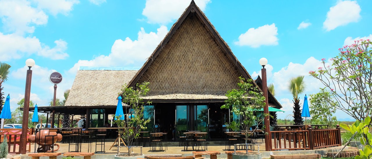 cover Windy Cafe: Enjoy Food and Rice Fields in a Relaxed Atmosphere in Phetchaburi