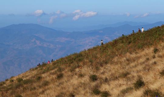 cover 【Chiang Mai】with No Private Car: 4 Days 3 Nights to Kew Mae Pan, Mae Rim & Mae Kampong