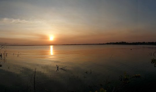 Cover Waking up to the sound of roosters crowing, I rushed to capture the ...