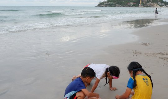 Cover Happy holidays at Huahin beach!🏖️...