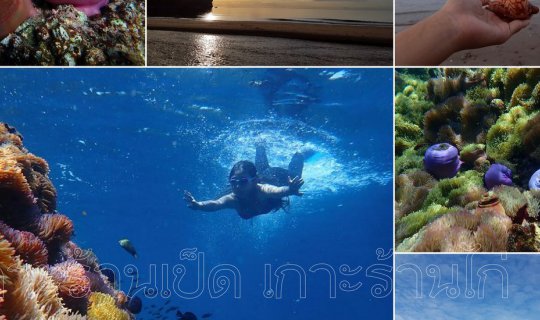Cover Duck Island and Chicken Island: A Sea of Anemones in Chumphon Provin...