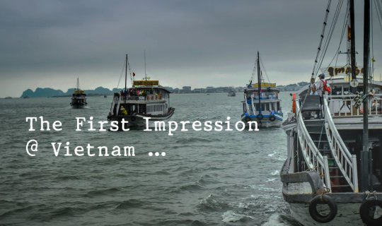 cover The First Impression of Vietnam
