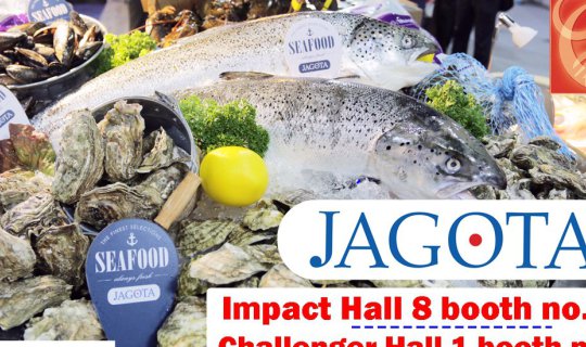 cover JAGOTA @ THAIFEX - World of Food Asia 2018 [A Tour of JAGOTA's Booth at THAIFEX 2018]
