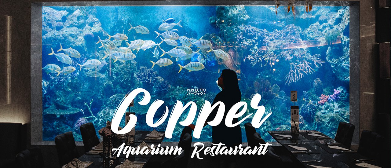 cover Copper Aquarium Restaurant | Experience a new dining experience with a buffet surrounded by fish.