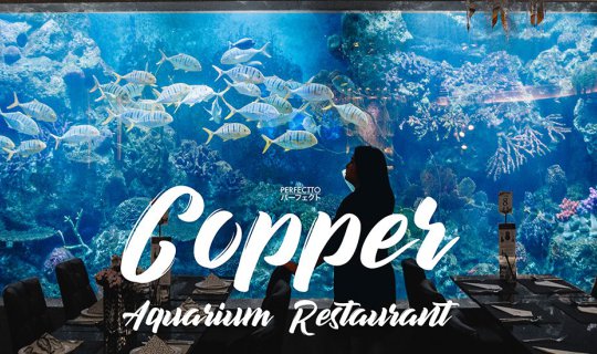 cover Copper Aquarium Restaurant | Experience a new dining experience with a buffet surrounded by fish.