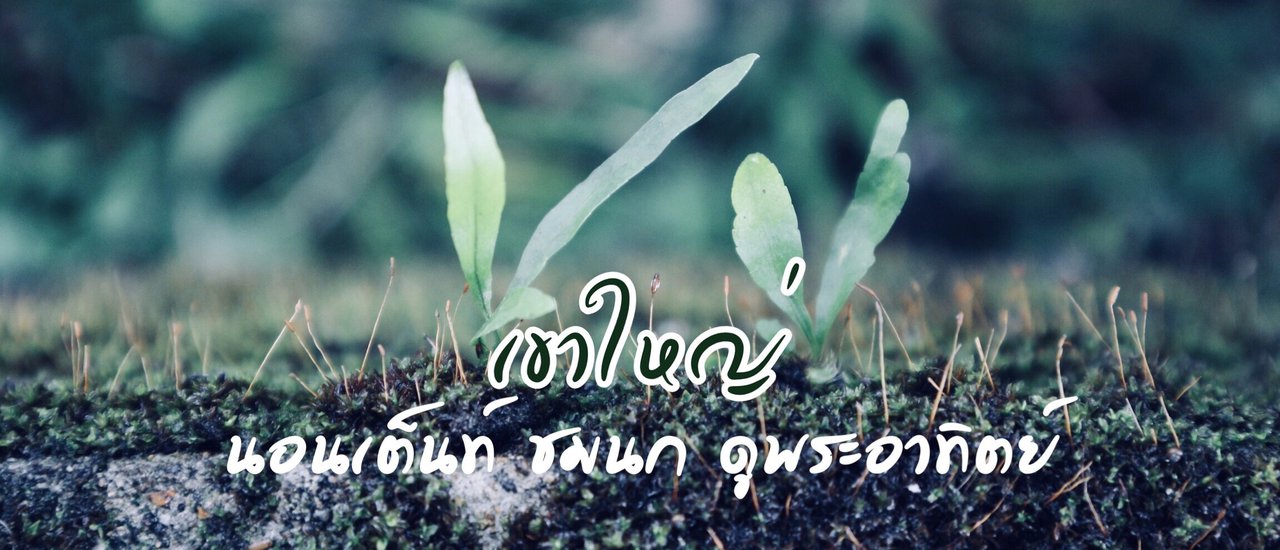 cover Khao Yai: Lam Ta Khong: Camping, bird watching, and sunrise viewing.