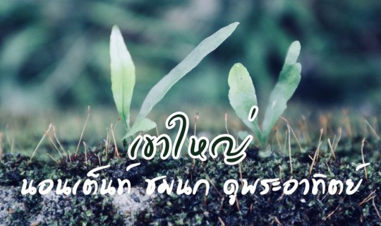 cover Khao Yai: Lam Ta Khong: Camping, bird watching, and sunrise viewing.