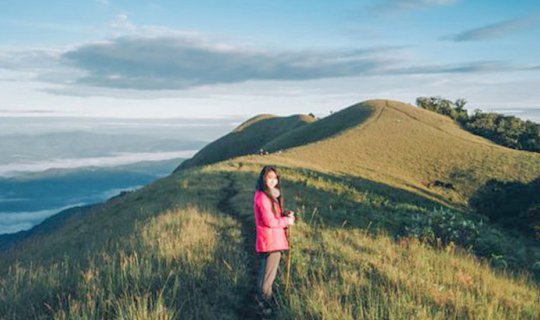 cover "Those who haven't booked 'Mon Jong,' the first mountain in their lives, with the conquest on a rainy day --> 6 hours straight!"