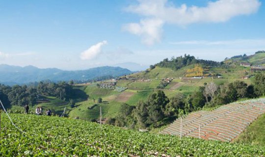 cover "M่อนแจ่ม" is easily accessible, offering a variety of activities and scenic views.