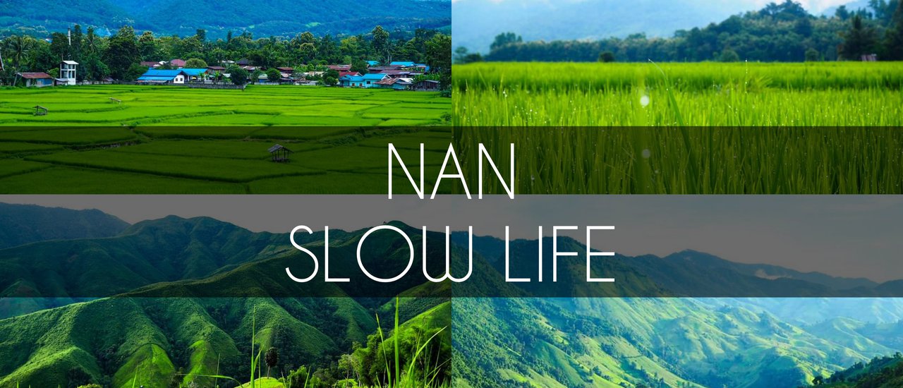 cover NAN, SLOW LIFE