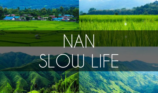 cover NAN, SLOW LIFE