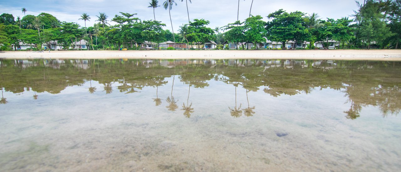 cover "Black Mamba" Reviews "Koh Mak - Koh Kham": Finding Joy at "Mira Montra, The Beachfront Resort Koh Mak"