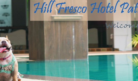 Cover Happy Dog @ Hill Fresco Hotel Pattaya...