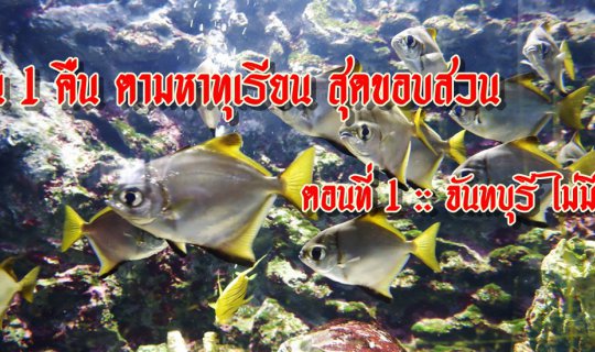 cover 2 Days 1 Night: Durian Hunting at the Edge of the Orchard, Episode 1: Chanthaburi, Endless Fun