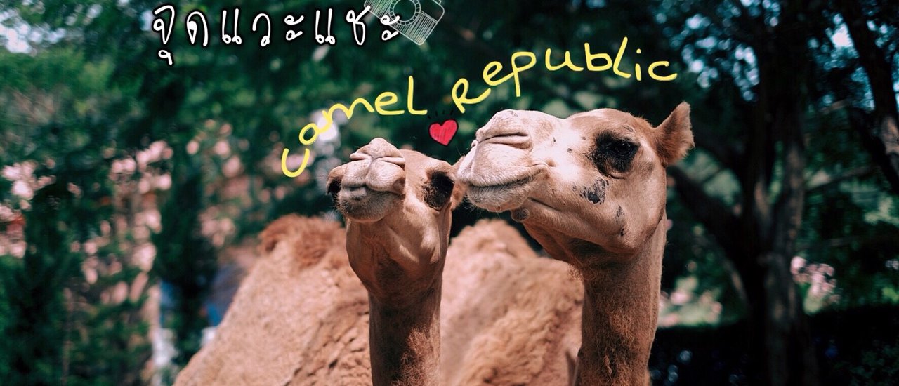 cover Camel Republic: A picturesque stopover before reaching Hua Hin