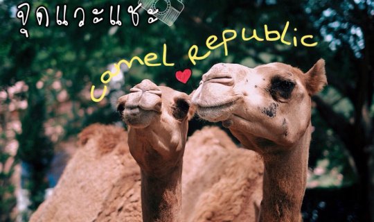 Cover Camel Republic: A picturesque stopover before reaching Hua Hin...