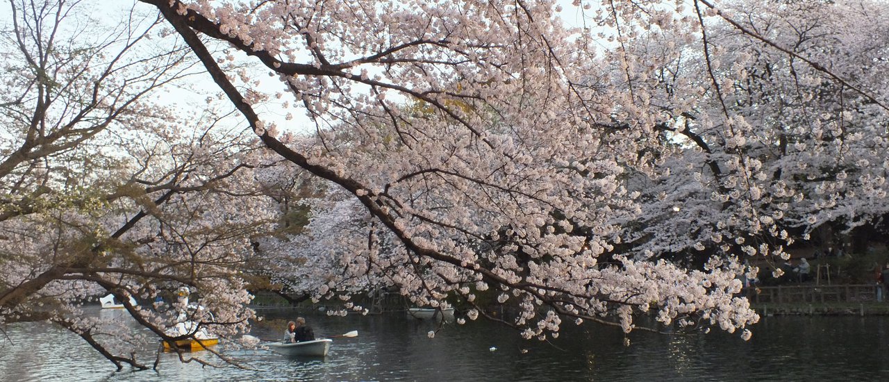 cover Japan Train Trip: The Last Episode
日本列車之旅:最後一集
Notes:
* The translation is concise and accurate.
* The tone is simple and short, as requested.
* The translation is in the same quality as a local speaker.
* The HTML structure is preserved.