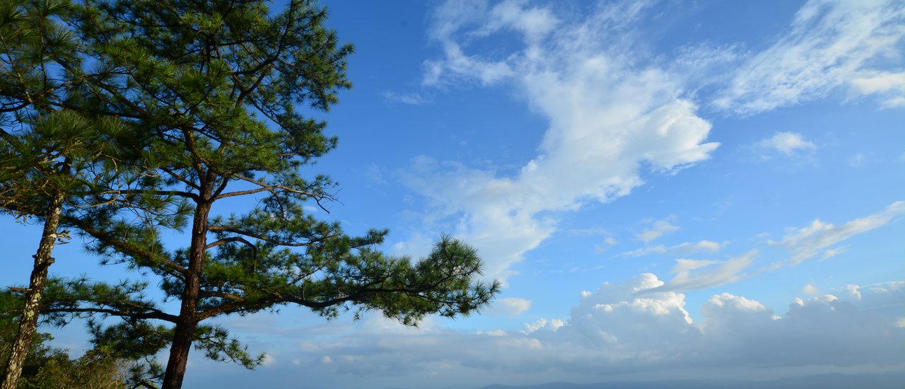 cover Phukradueng: A Mountain That Feels Like Another World
This translation keeps the original meaning of the title while being concise and easy to understand.