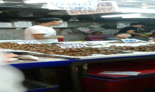 Cover Fresh Seafood at Talad Lan Pho, Na Kluea
Enjoy the freshest seafood...