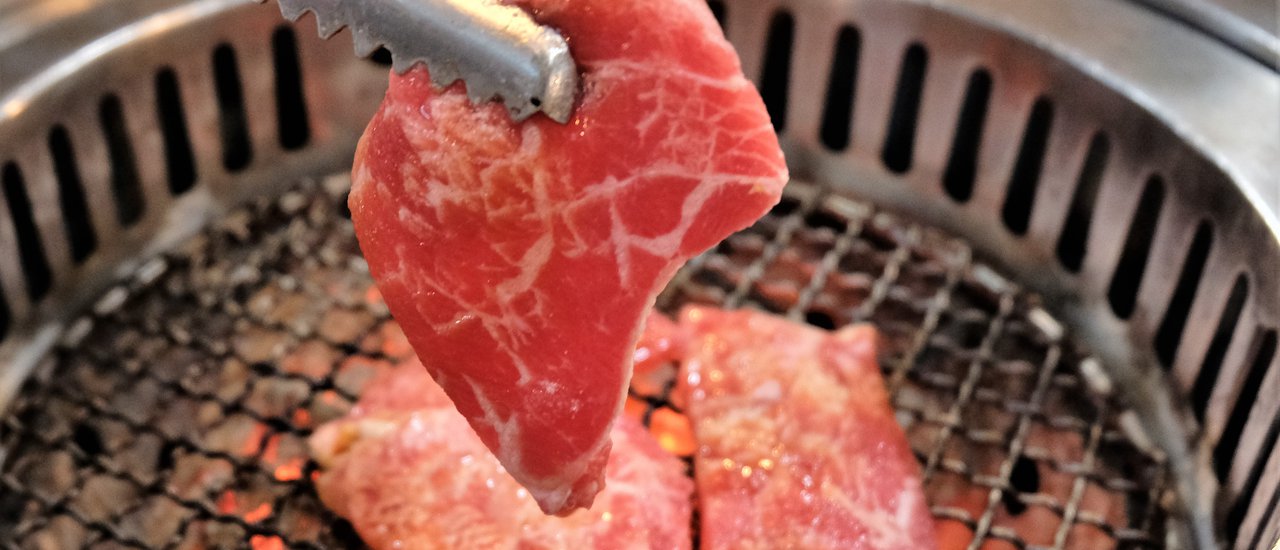 cover TORA YAKINIKU X CAFE: Premium Meat, Diverse Seafood, Amazing Salmon, and Delicious Desserts.