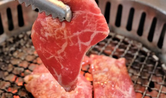 cover TORA YAKINIKU X CAFE: Premium Meat, Diverse Seafood, Amazing Salmon, and Delicious Desserts.