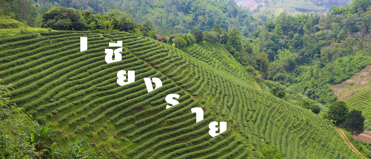 cover Chiangrai2017: Skipping Work to Sleep on the Mountain