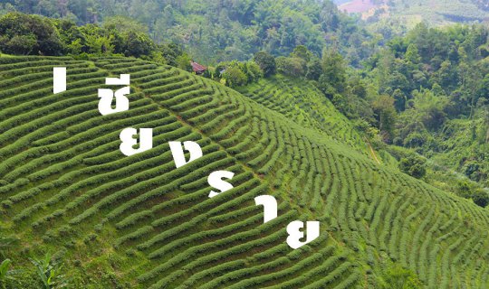 cover Chiangrai2017: Skipping Work to Sleep on the Mountain