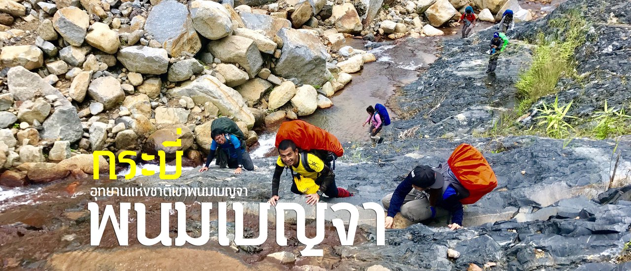 cover He climbed Khao Phanom Bencha until late at night, chasing the mist and observing nature in Krabi.