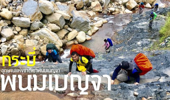 cover He climbed Khao Phanom Bencha until late at night, chasing the mist and observing nature in Krabi.