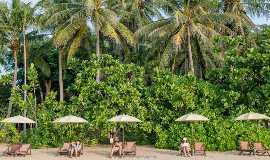 cover "Baan Grood... it's soooo good!"