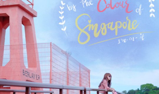 cover Immerse your soul in the vibrant colors of Singapore.