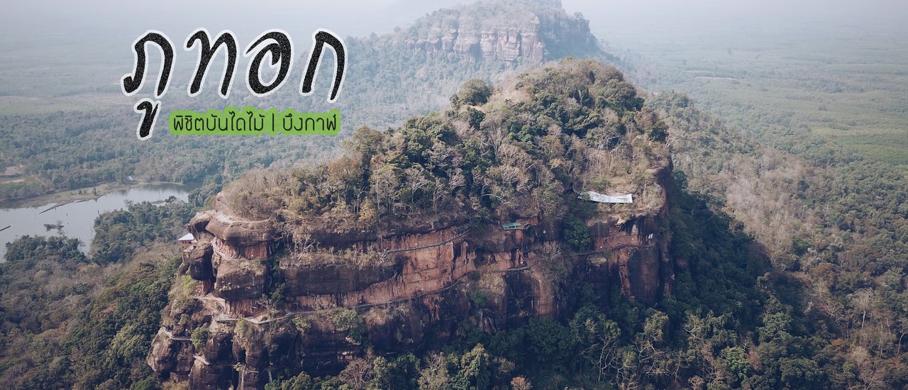 cover Conquering the wooden stairs of "Phu Thok Temple" in Bueng Kan Province, the 77th province of Thailand.