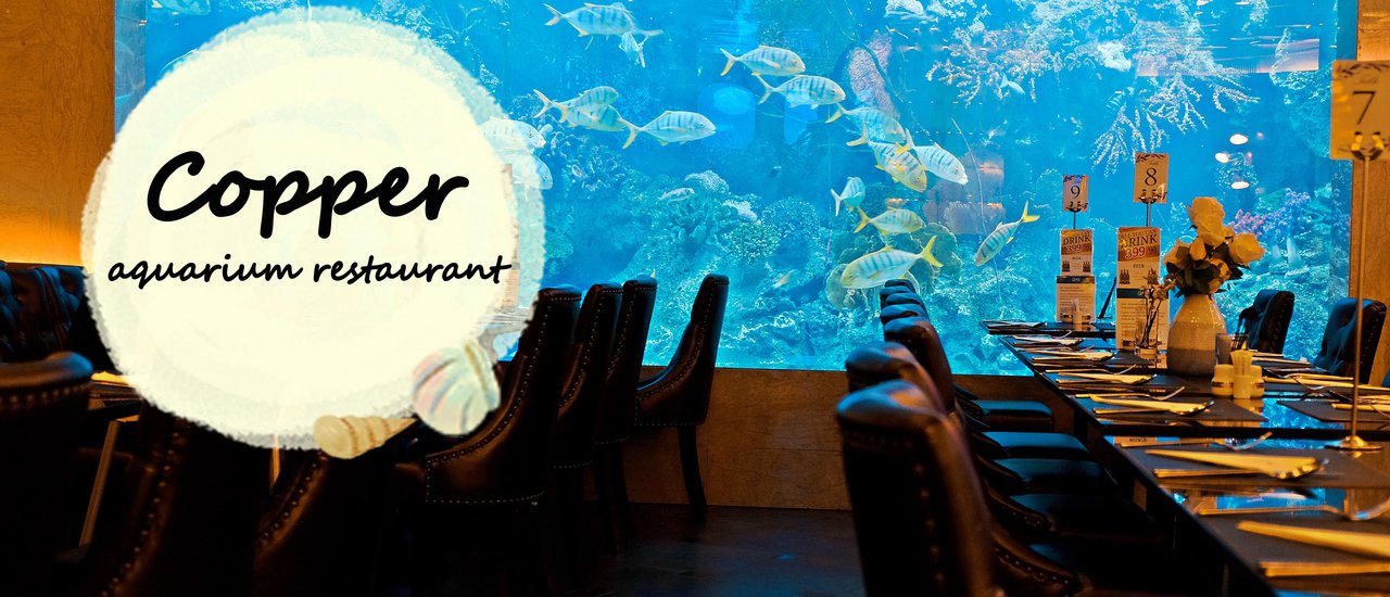 cover Enjoy the Delicacy of Crab and the Beauty of Fish at Copper Aquarium Restaurant.