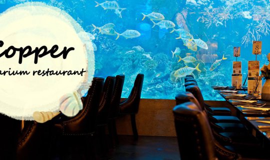 cover Enjoy the Delicacy of Crab and the Beauty of Fish at Copper Aquarium Restaurant.