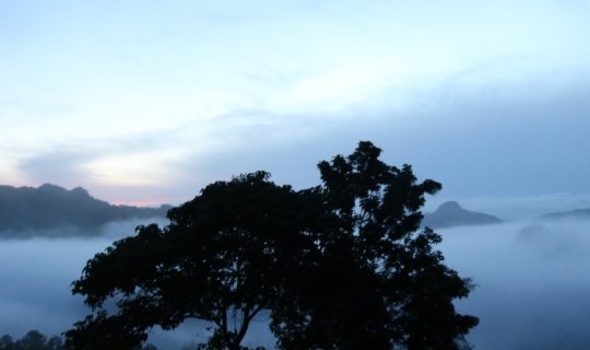 cover A solo female traveler explores the City of Three Mists on a budget of 3,000 baht.