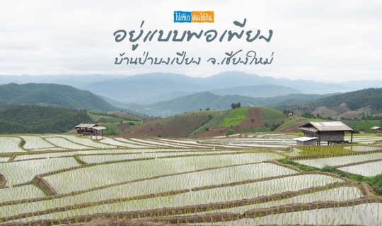 Cover Volunteers Transplant Rice Seedlings at Ban Pa Bong Bieng, Chiang Ma...