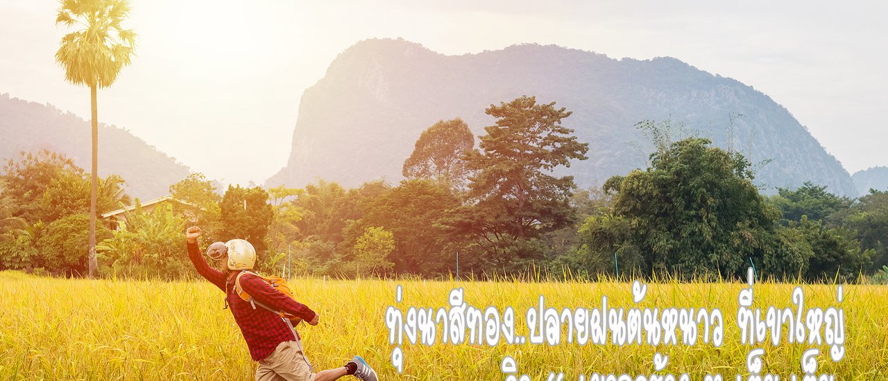 cover Khao Yai National Park... in the late rainy season, early winter. Come to Khao Yai, don't forget to stop by and take pictures with Khao Look Chang.