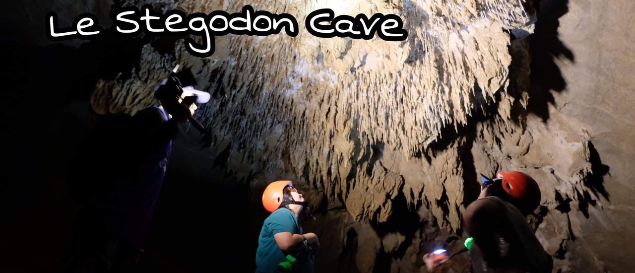 cover Stegodon Cave: Tracing the Footsteps of the Ancient World

Stegodon Caveoffers a glimpse into the distant past, inviting visitors to retrace the steps of prehistoric creatures.