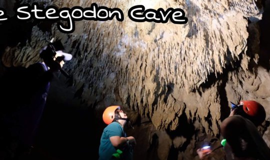 cover Stegodon Cave: Tracing the Footsteps of the Ancient World

Stegodon Caveoffers a glimpse into the distant past, inviting visitors to retrace the steps of prehistoric creatures.