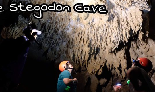 Cover Stegodon Cave: Tracing the Footsteps of the Ancient World
Stegodon ...