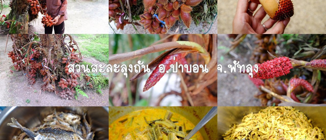 cover Salak Lang Thun Garden, Pa Bon District, Phatthalung Province