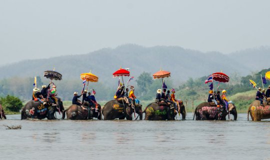 Cover Annual Elephant Procession for Novice Ordination Ceremony of the Tha...