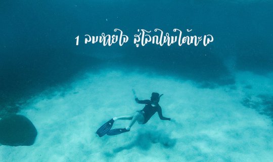 cover 1. A breath into a new world beneath the sea.