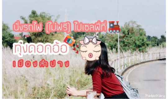 cover Take a (non-free) train ride to the "Reed Field" in Lampang for a selfie.