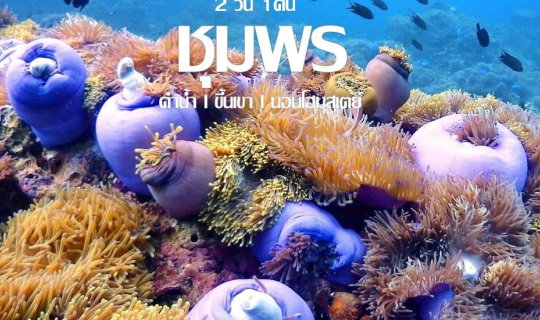 cover The Little Mermaid: Swimming Through the Depths of Chumphon