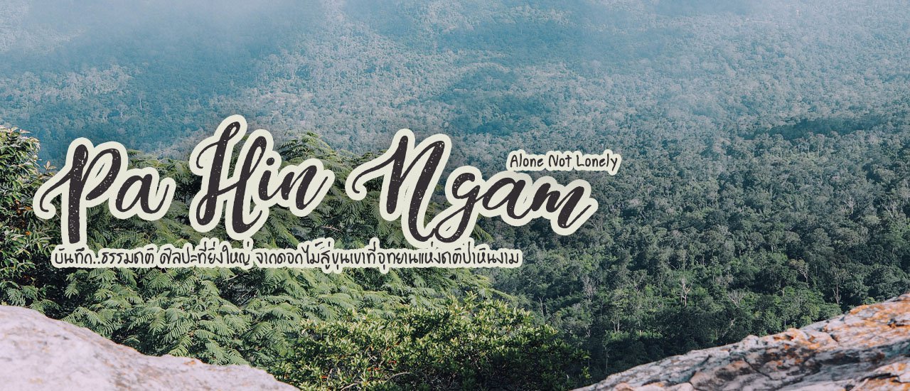 cover Nature's Art: From Flowers to Mountains at Pa Hin Ngam National Park.