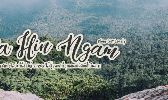 Cover Nature's Art: From Flowers to Mountains at Pa Hin Ngam National Park...