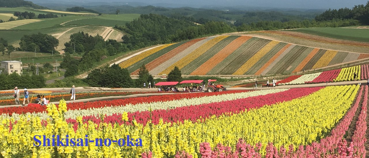 cover Shikisai-no-oka Flower Garden in Biei