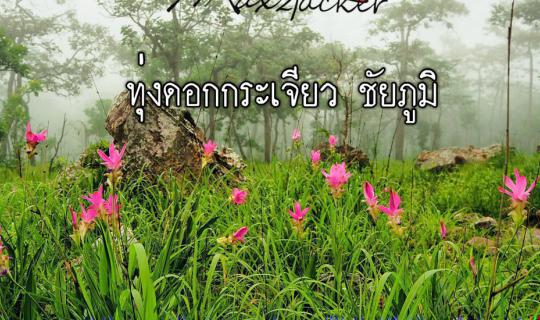 Cover A short trip of discovering Siam Tulip in Chaiyaphum Province...